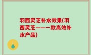 羽西灵芝补水效果(羽西灵芝——一款高效补水产品)