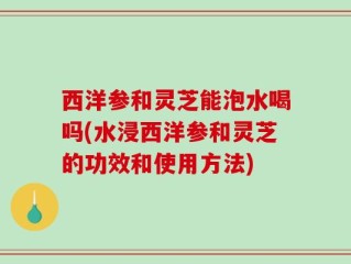 西洋参和灵芝能泡水喝吗(水浸西洋参和灵芝的功效和使用方法)