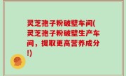 灵芝孢子粉破壁车间(灵芝孢子粉破壁生产车间，提取更高营养成分!)