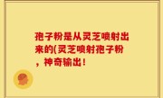孢子粉是从灵芝喷射出来的(灵芝喷射孢子粉，神奇输出！