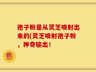 孢子粉是从灵芝喷射出来的(灵芝喷射孢子粉，神奇输出！