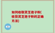 如何收取灵芝孢子粉(收获灵芝孢子粉的正确方法)