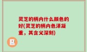 灵芝的柄内什么颜色的好(灵芝的柄内色泽凝重，其含义深刻)