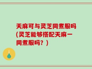 天麻可与灵芝同煮服吗(灵芝能够搭配天麻一同煮服吗？)