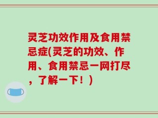 灵芝功效作用及食用禁忌症(灵芝的功效、作用、食用禁忌一网打尽，了解一下！)