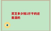 灵芝多少钱1斤干的还是湿的