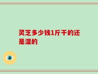 灵芝多少钱1斤干的还是湿的