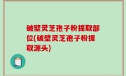 破壁灵芝孢子粉提取部位(破壁灵芝孢子粉提取源头)