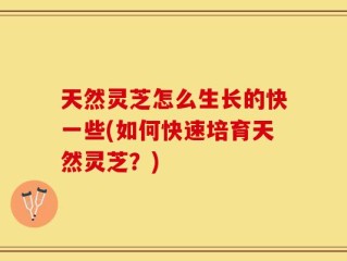 天然灵芝怎么生长的快一些(如何快速培育天然灵芝？)