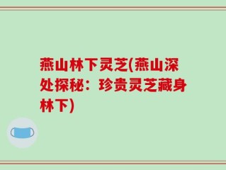 燕山林下灵芝(燕山深处探秘：珍贵灵芝藏身林下)