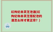 红枸杞赤灵芝泡酒(红枸杞和赤灵芝搭配泡的酒怎么样才更正宗？)