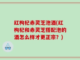 红枸杞赤灵芝泡酒(红枸杞和赤灵芝搭配泡的酒怎么样才更正宗？)