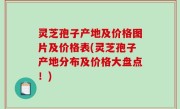 灵芝孢子产地及价格图片及价格表(灵芝孢子产地分布及价格大盘点！)