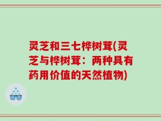 灵芝和三七桦树茸(灵芝与桦树茸：两种具有药用价值的天然植物)