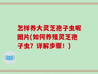 怎样养大灵芝孢子虫呢图片(如何养殖灵芝孢子虫？详解步骤！)