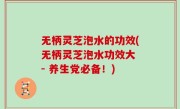 无柄灵芝泡水的功效(无柄灵芝泡水功效大 - 养生党必备！)