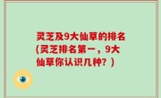 灵芝及9大仙草的排名(灵芝排名第一，9大仙草你认识几种？)