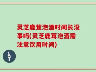 灵芝鹿茸泡酒时间长没事吗(灵芝鹿茸泡酒需注意饮用时间)