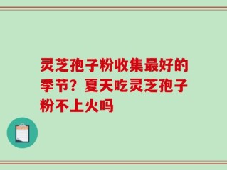灵芝孢子粉收集最好的季节？夏天吃灵芝孢子粉不上火吗