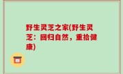 野生灵芝之家(野生灵芝：回归自然，重拾健康)