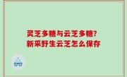 灵芝多糖与云芝多糖？新采野生云芝怎么保存