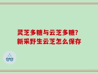 灵芝多糖与云芝多糖？新采野生云芝怎么保存