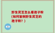 野生灵芝怎么看孢子粉(如何鉴别野生灵芝的孢子粉？)