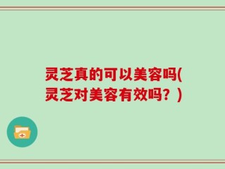 灵芝真的可以美容吗(灵芝对美容有效吗？)