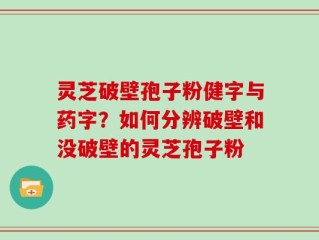 灵芝破壁孢子粉健字与药字？如何分辨破壁和没破壁的灵芝孢子粉