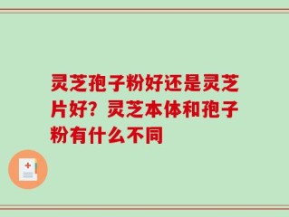 灵芝孢子粉好还是灵芝片好？灵芝本体和孢子粉有什么不同