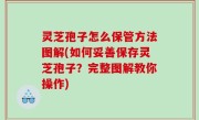灵芝孢子怎么保管方法图解(如何妥善保存灵芝孢子？完整图解教你操作)