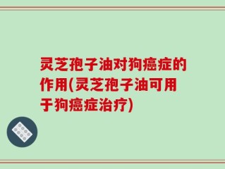 灵芝孢子油对狗癌症的作用(灵芝孢子油可用于狗癌症治疗)
