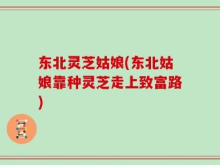 东北灵芝姑娘(东北姑娘靠种灵芝走上致富路)