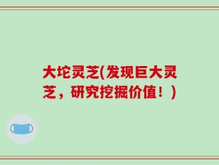 大坨灵芝(发现巨大灵芝，研究挖掘价值！)