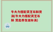 牛大力搭配灵芝石斛煲汤(牛大力搭配灵芝石斛 煲出养生滋补汤)