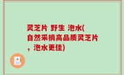 灵芝片 野生 泡水(自然采摘高品质灵芝片，泡水更佳)