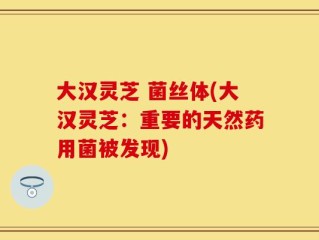 大汉灵芝 菌丝体(大汉灵芝：重要的天然药用菌被发现)