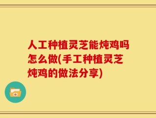人工种植灵芝能炖鸡吗怎么做(手工种植灵芝炖鸡的做法分享)
