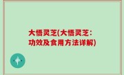 大悟灵芝(大悟灵芝：功效及食用方法详解)
