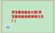 灵芝菌包能出几茬(灵芝菌包能连续采摘几次？)