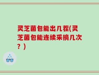 灵芝菌包能出几茬(灵芝菌包能连续采摘几次？)
