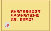 农村地下室种植灵芝可以吗(农村地下室种植灵芝，有何效益？)