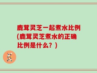 鹿茸灵芝一起煮水比例(鹿茸灵芝煮水的正确比例是什么？)