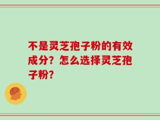 不是灵芝孢子粉的有效成分？怎么选择灵芝孢子粉？