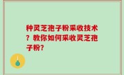 种灵芝孢子粉采收技术？教你如何采收灵芝孢子粉？