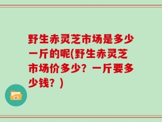 野生赤灵芝市场是多少一斤的呢(野生赤灵芝市场价多少？一斤要多少钱？)