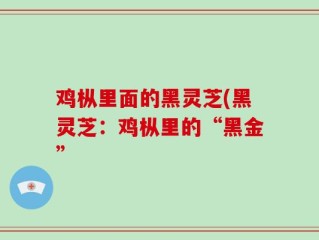 鸡枞里面的黑灵芝(黑灵芝：鸡枞里的“黑金”