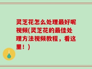 灵芝花怎么处理最好呢视频(灵芝花的最佳处理方法视频教程，看这里！)