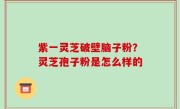 紫一灵芝破壁脑子粉？灵芝孢子粉是怎么样的