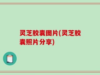 灵芝胶囊图片(灵芝胶囊照片分享)